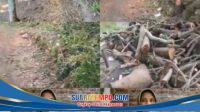 IMG-20260424-WA0022