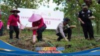 IMG-20260428-WA0004