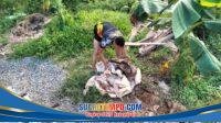 IMG-20260430-WA0063