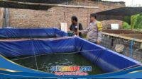 IMG-20260504-WA0008