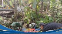 IMG-20260505-WA0028