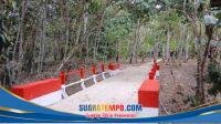 IMG-20260509-WA0113