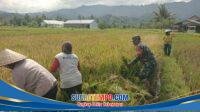 IMG-20260512-WA0153