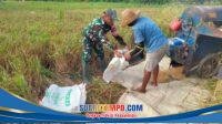 IMG-20260515-WA0039