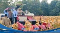 IMG-20260517-WA0000