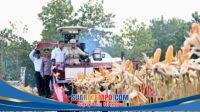IMG-20260517-WA0006