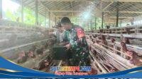 IMG-20260517-WA0015