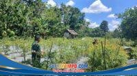 IMG-20260521-WA0053