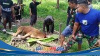 IMG-20260527-WA0077