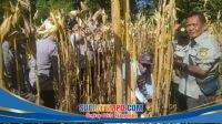 IMG-20260528-WA0002