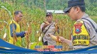IMG-20260530-WA0000