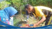 IMG-20260602-WA0001