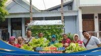IMG-20260604-WA0006