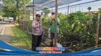 IMG-20260609-WA0006