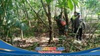 IMG-20260610-WA0090