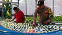IMG-20260615-WA0001
