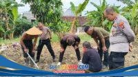 IMG-20260616-WA0002