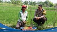 IMG-20260619-WA0014