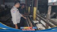 IMG-20260622-WA0024