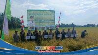 IMG-20260627-WA0075