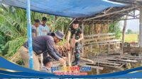 IMG-20260630-WA0058