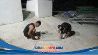 IMG-20260704-WA0083