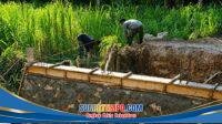 IMG-20260708-WA0066