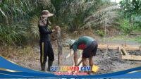 IMG-20260717-WA0061