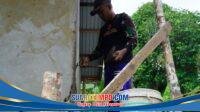 IMG-20260717-WA0065