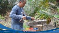 IMG-20260718-WA0048