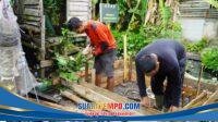 IMG-20260721-WA0008