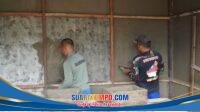 IMG-20260721-WA0009