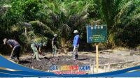 IMG-20260722-WA0008