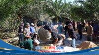 IMG-20260723-WA0122