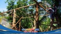IMG-20260724-WA0116