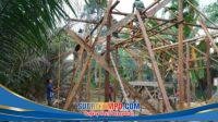 IMG-20260726-WA0049