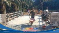 IMG-20260727-WA0176
