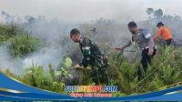 IMG-20260729-WA0152