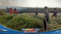 IMG-20260801-WA0159