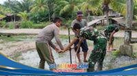 IMG-20260802-WA0032
