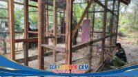 IMG-20260805-WA0027