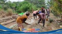 IMG-20260807-WA0176