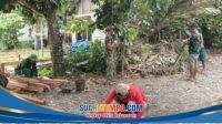 IMG-20260807-WA0177