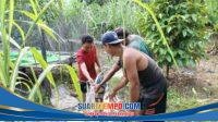 IMG-20260808-WA0041
