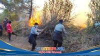 IMG-20260809-WA0000