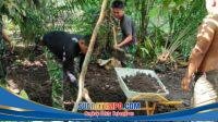 IMG-20260809-WA0065