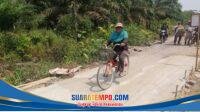 IMG-20260810-WA0014
