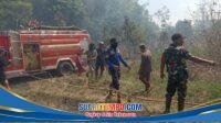 IMG-20260811-WA0179