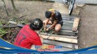 IMG-20260812-WA0027