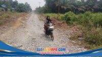 IMG-20260814-WA0202